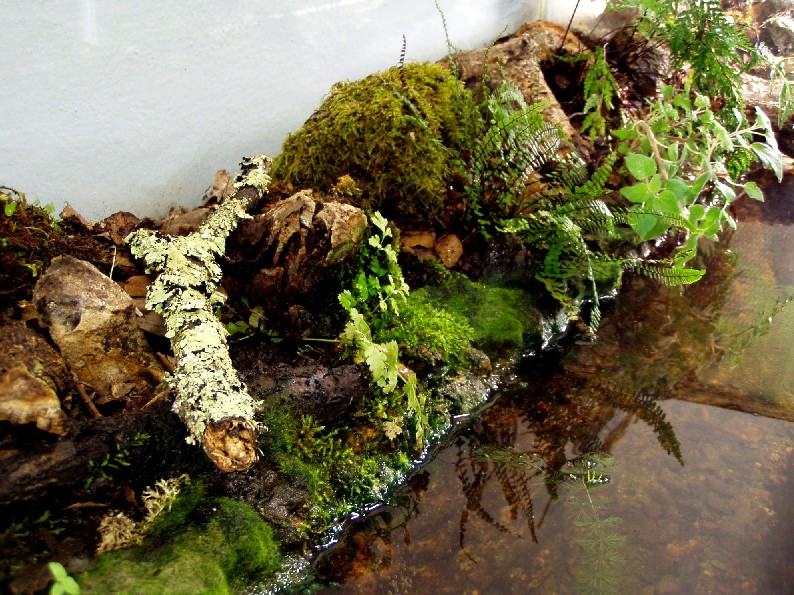 I Terracquari del Centro di Entomologia - Piombino (LI)